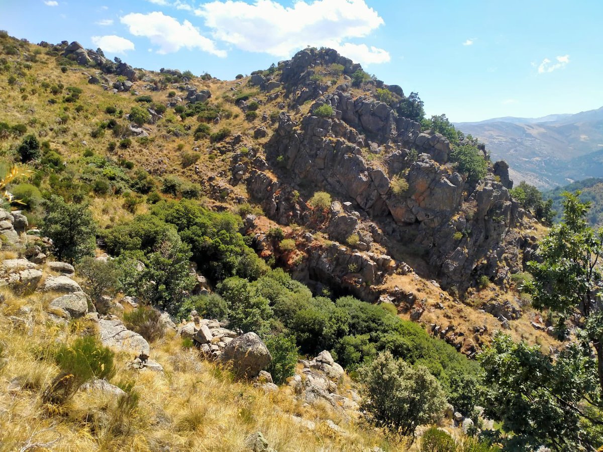 CrossPastores's tweet photo. Todo a punto para el mejor cross del tercer fin de semana de septiembre en la zona norte de la sierra de Gredos. @Trotavila1 @Todovertical @GuerreroGredos @UT_LaCovatilla @UTMBMontBlanc @contadordekm https://t.co/sR8Mpre7fv