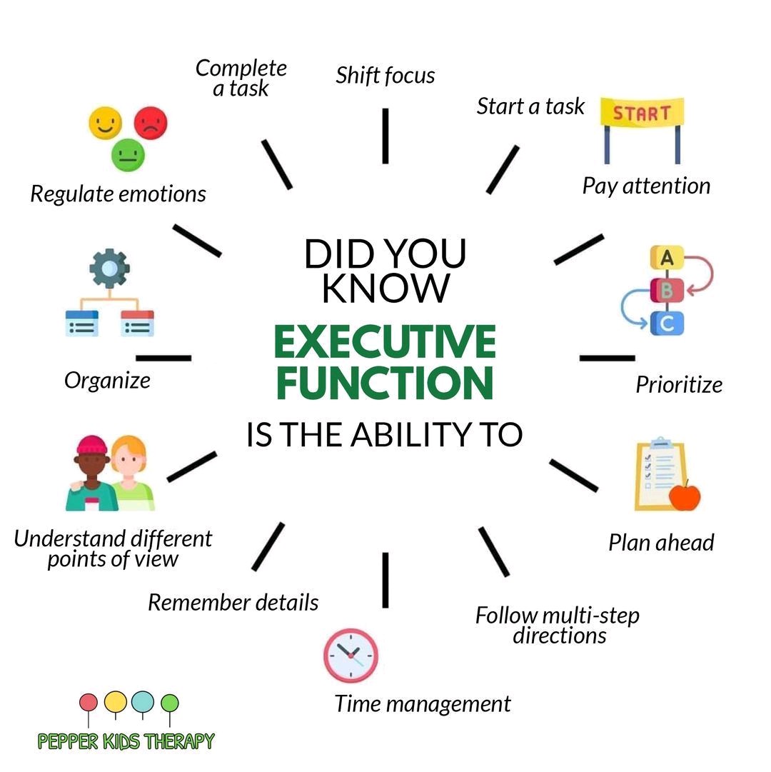 theOThub's tweet image. 🧠 &quot;A branch of cognition I assess daily, here&apos;s a handy graphic summarising elements of #ExecutiveFunction&quot; - @jamiegrantOT. 

Share related insights and tools here: theOThub.com/forum/conditio… #OccupationalTherapy #Neurology
