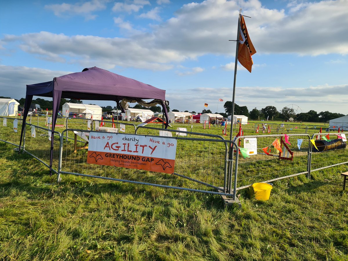 Greyhound Gap tweet media