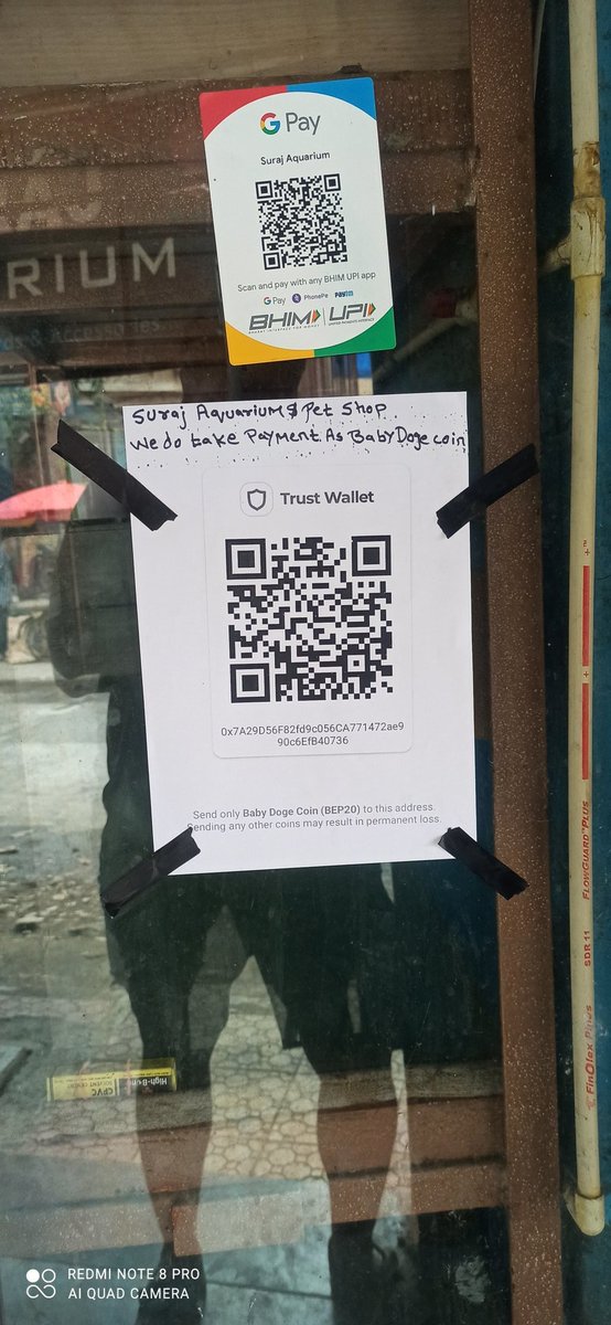 BABYDOGEBoy1's tweet photo. @babydoge  we all had hard competition against shiba inu on bitforex and we win it so congrats &amp; so nowFrom tday onwards i started taking Baby Doge coin as payment in my store @Vinay86177664 @bitforexcom @JohnWickArgo @GenuineMarie34 @babydogearmybsc @dogecoin_devs @elonmusk https://t.co/8oQApDWhBk
