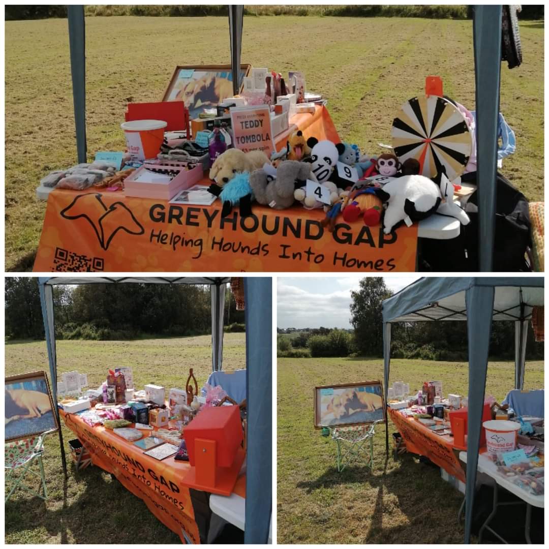 Greyhound Gap tweet media