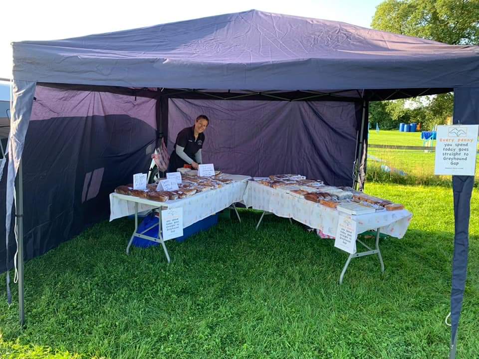 Greyhound Gap tweet media