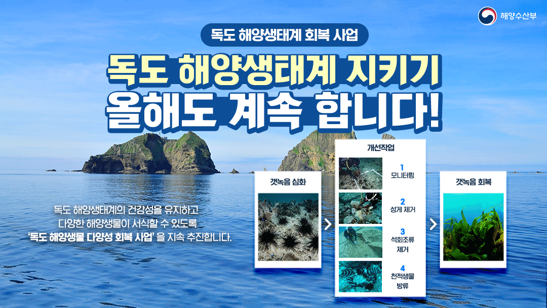 mofkorea's tweet image. 해양수산부는 독도 해양생태계를
건강하게 유지하기 위한
‘해양생물 다양성 회복 사업’을
올해도 추진합니다!

관계기관 협력을 바탕으로
독도의 해양생물 다양성을 
회복과 보전하기 위한
사업을 지속적으로 추진해 나가겠습니다!

자세히 보기 ☞ bit.ly/3sVshei

#독도 #해양생태계 #성게
