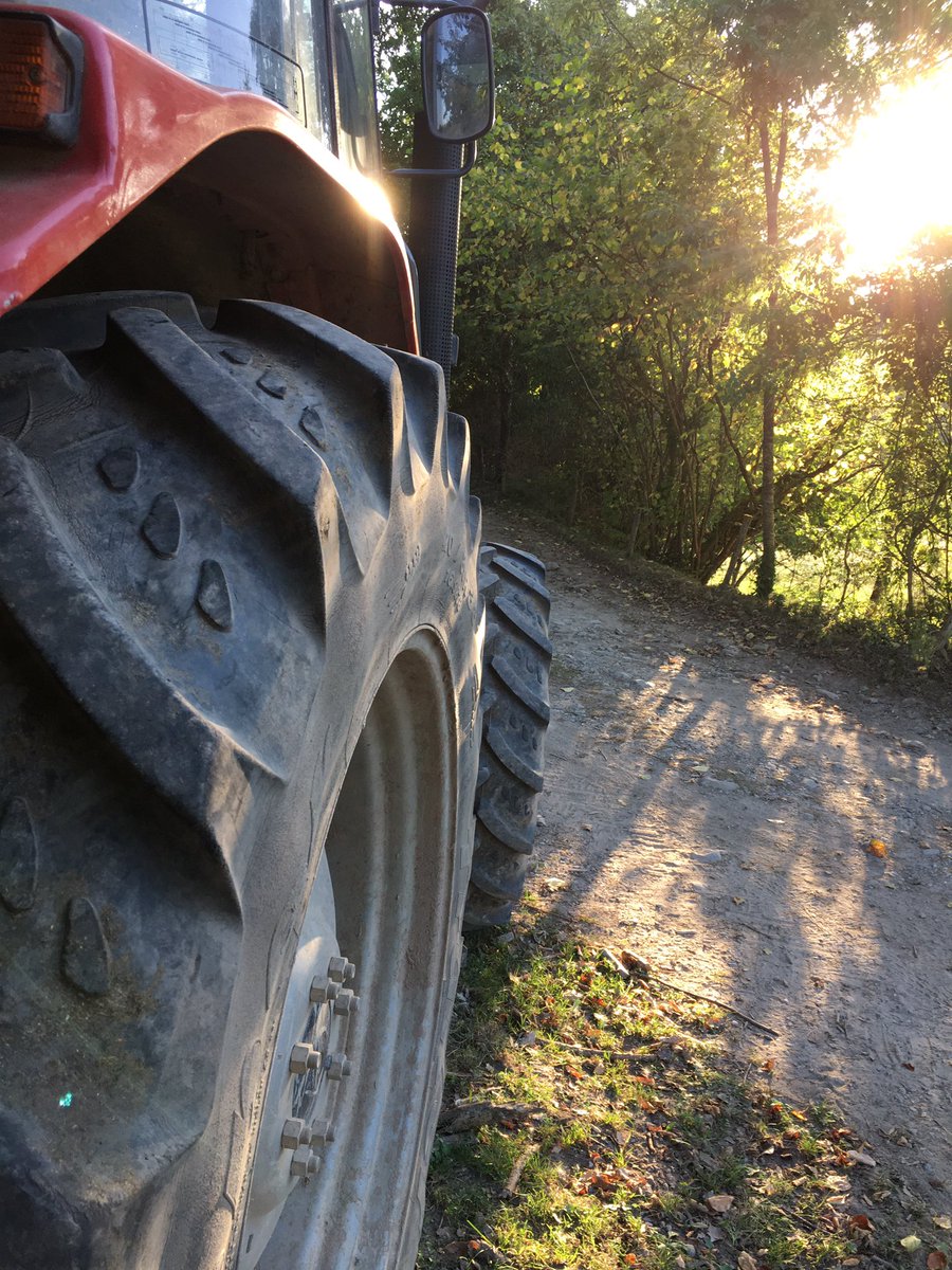 formatgeriaorra's tweet photo. Tornen les pluges ⛈ Ho assenyala l’entorn, que recupera aquell verd intens que tant ens agrada 🌱

El 🚜 queda ara més parat, fins que arribi l’hivern, no hi hagi prou menjar i toqui el farratge sec 🌾

I haurà passat un any més, i començarem una altre vegada 🔄

Bon setembre!🙂 https://t.co/Q2k9JSO5CP