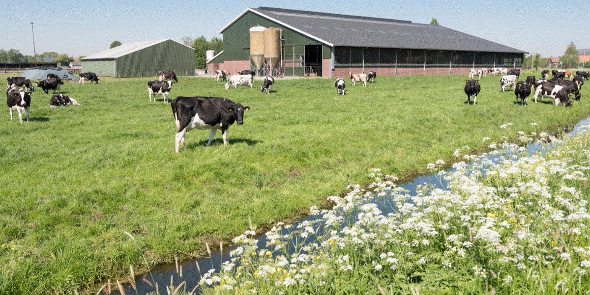Onteigenen draagt niet bij aan het oplossen van het stikstofprobleem zoals in een artikel <a href="/NRC/">NRC</a> van vandaag wordt gesteld. Integendeel, onteigening kost vaak veel tijd, veroorzaakt veel weerstand in het gebied en is uiteindelijk duurder dan het alternatief grondbezit.nl/fpg-nieuwsberi…