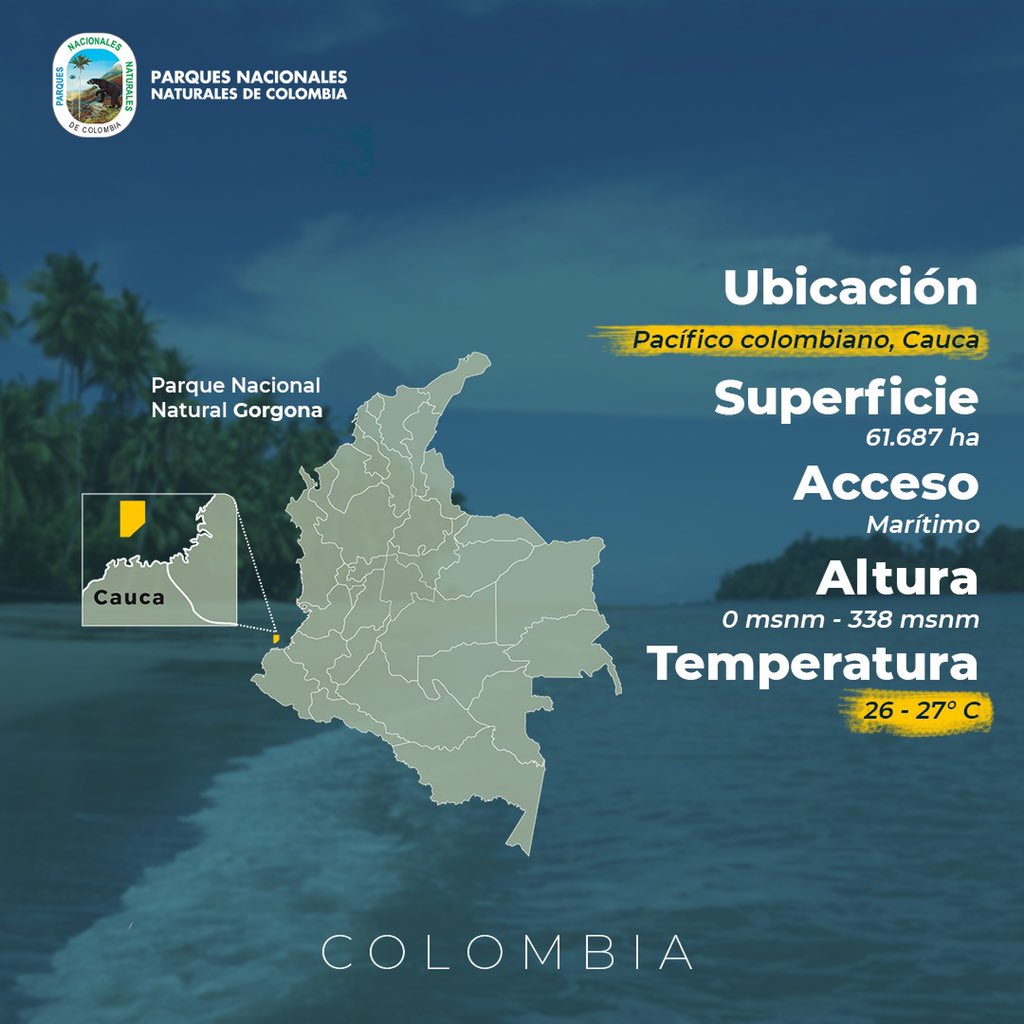 ParquesColombia's tweet photo. El PNN Gorgona es un pequeño paraíso de diversidad que salta a la vista desde alta mar cuando la frondosa selva bosque tropical desciende desde las pequeñas cumbres hasta el azul de las aguas misteriosas del océano Pacífico. #VisitoMisParques Conoce más en https://t.co/muiAx7VhFd https://t.co/xkdwpfJsqt