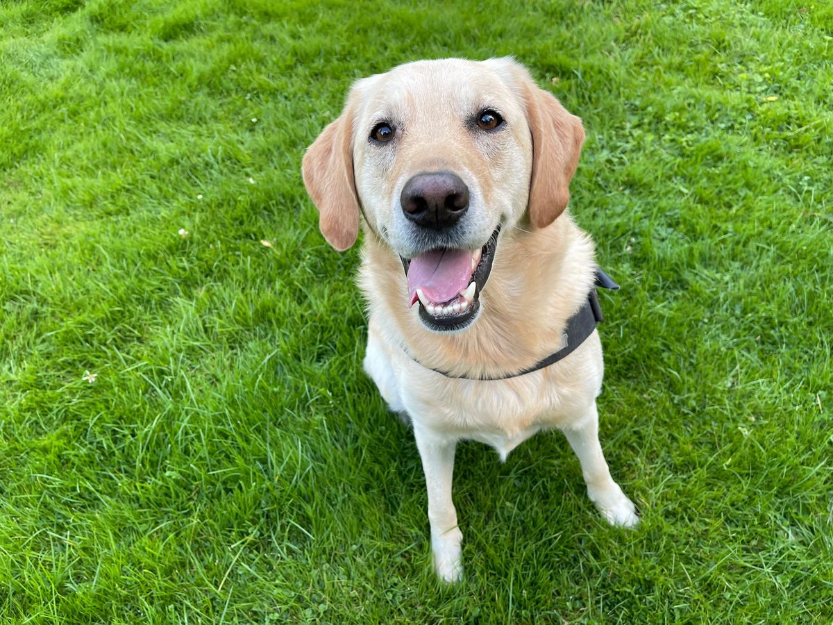 Yuki, 🦴afide tweet media