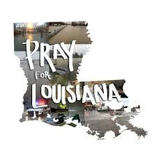 Doyle Lady Tigers Softball tweet media