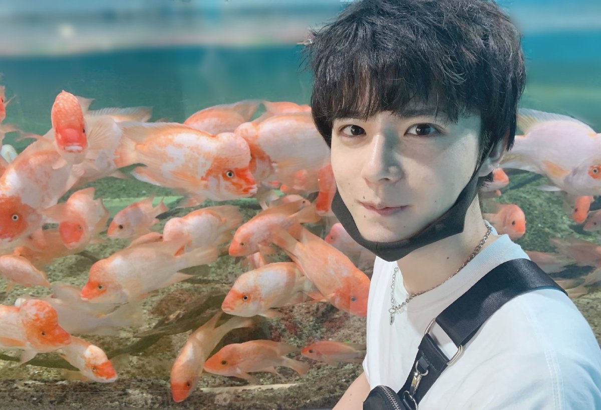 副島和樹 超青春合唱コメディ Sing から1年 絶対青春合唱コメディ Sing 空の青と海の青と僕らの学校 9 29 水 10 3 新国立劇場 小劇場 に出演します 9月12日 日 10 00から前売開始 T Co 6wa8dnnykd 公式サイト T