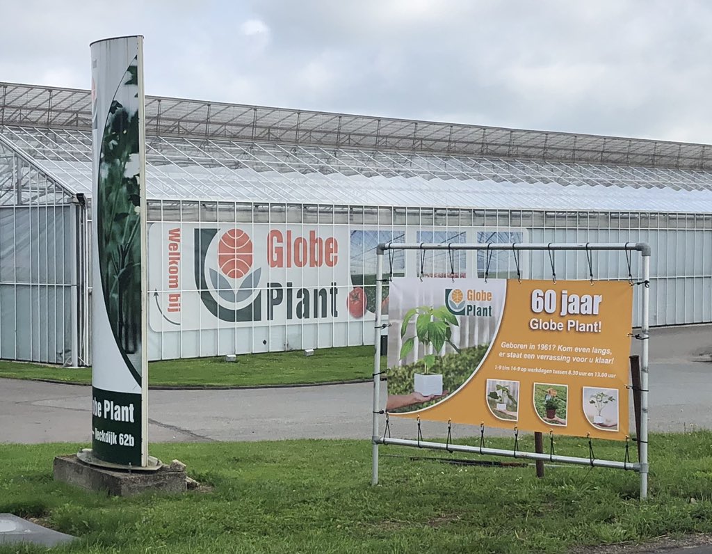 Geboren in ‘61?? Kom langs en ontvang een presentje… #globeplant #60jaar