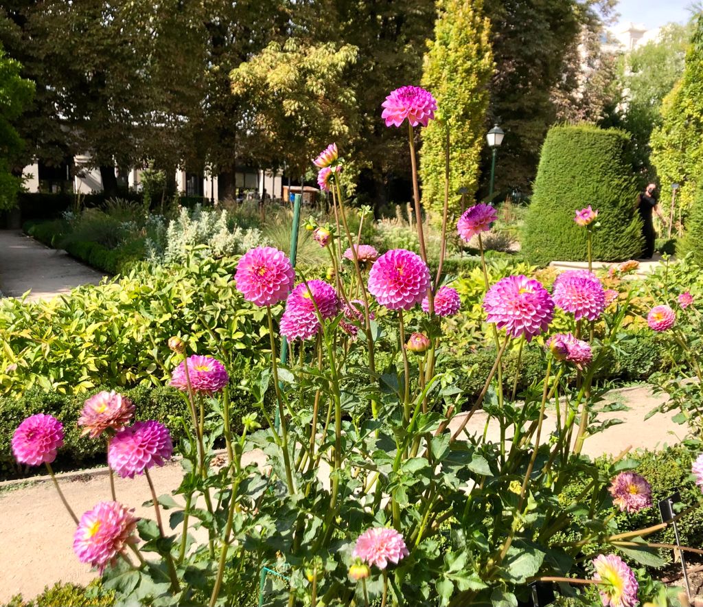 王立植物園 Twitter Search Twitter