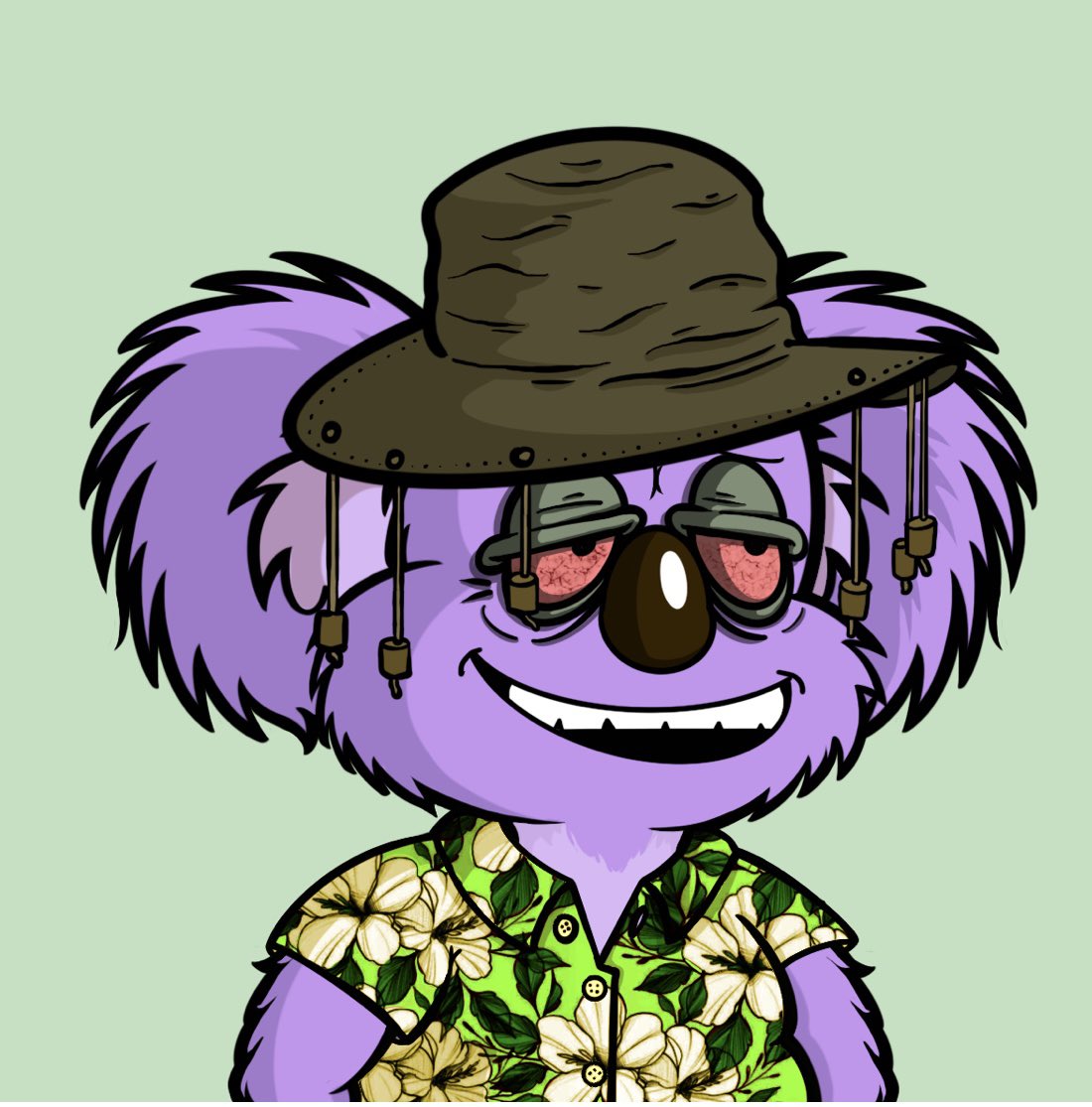 Koala tweet media