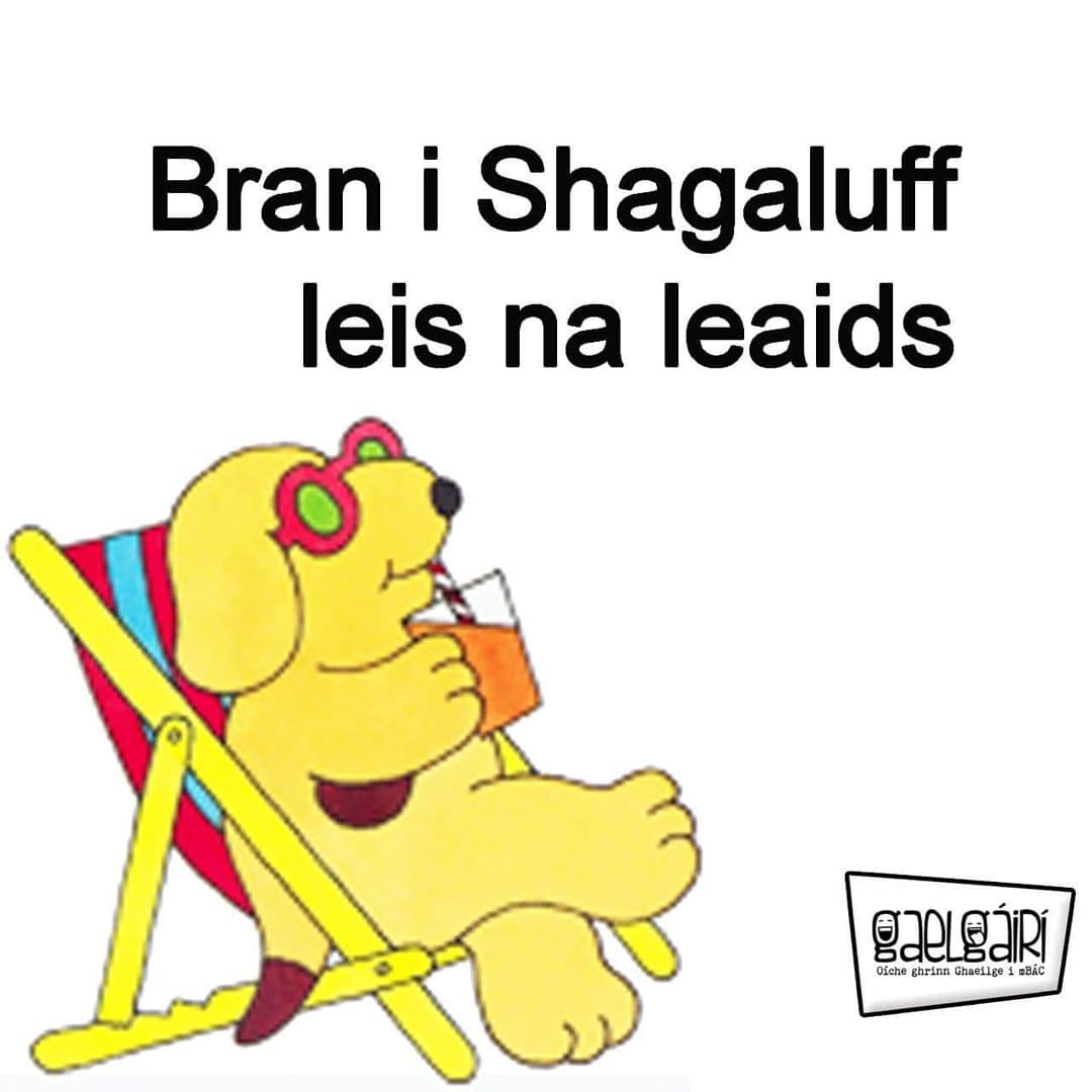 GaelGAIRI's tweet image. Tá 66% de na ticéid díolta!

Gig bheo GhaelGÁIRÍ sa bhfíorshaol!

Déardaoin na seachtaine seo 2/9/2021! Doirse - 8pm, Seó ó 8.30pm @clubchonradh
 
Ceannaigh ticéad anois! eventbrite.ie/e/gaelgairi-ar…