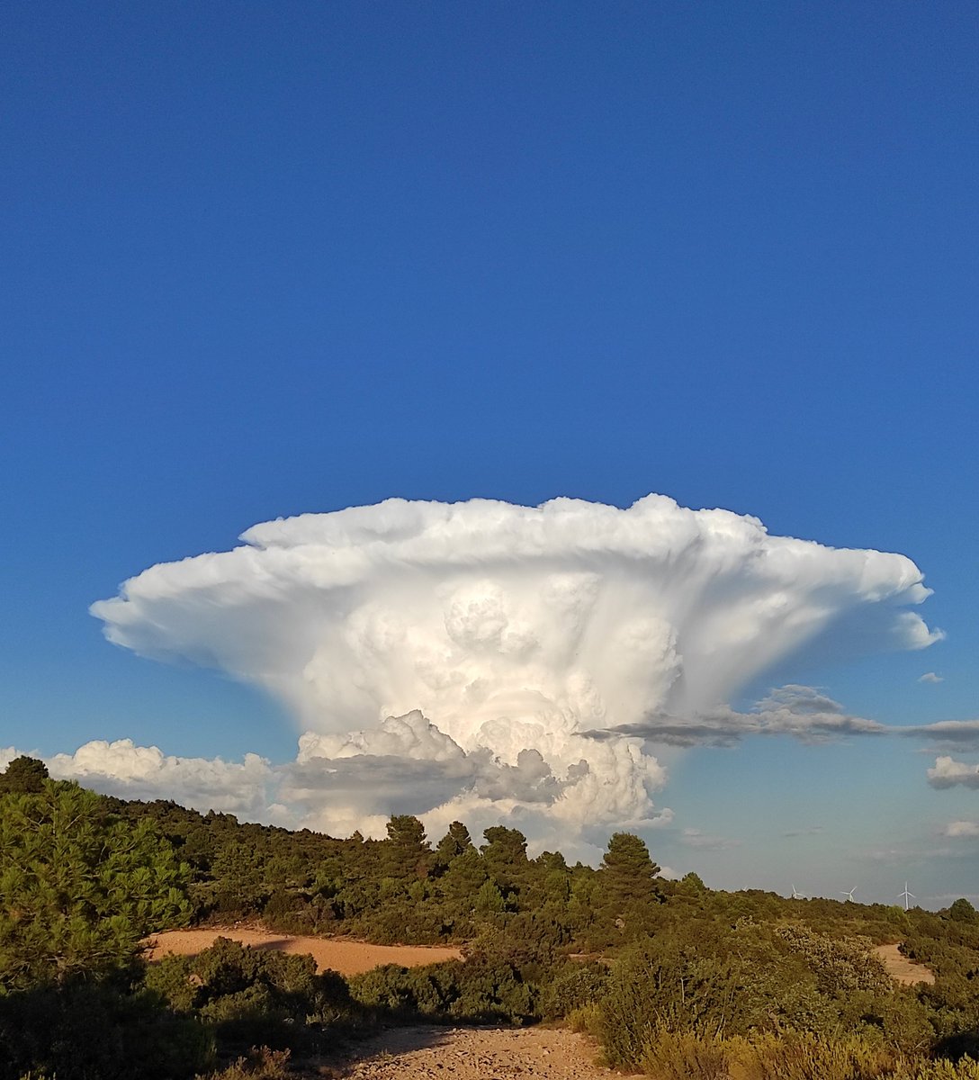 mjbosa's tweet photo. @picazomario Desde Campillo de Altobuey (Cuenca) lo disfrutamos así https://t.co/SJ6G1GGELA