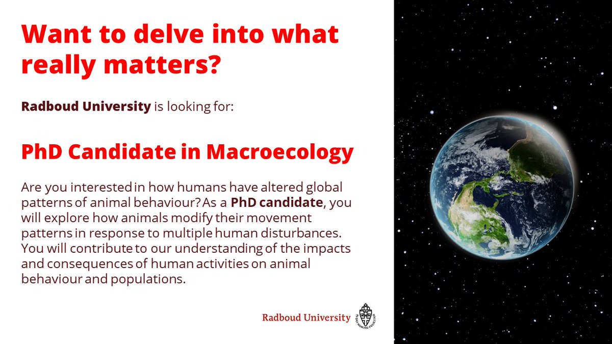 📢Funded PhD Position Available!

We're looking for someone to join our team @RU_Environment @Radboud_Uni @radboudscience 

Deadline: September 22.​

More info: tinyurl.com/9usfxnjj

#MovementEcology #phdchat #phdlife #youhaveaparttoplay