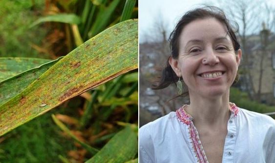 Institute of Molecular Plant Sciences (@instmolplantsci) on Twitter photo In our latest blog we hear from @Beatriz_Orosa discussing what motivated her to study biology and later specialise in plant science. Big thank you also to @Lindsayplantsci for interviewing Bea <a href="/SRUC/">SRUC</a> <a href="/IntBarleyHub/">International Barley Hub</a> <a href="/JamesHuttonInst/">James Hutton Institute</a> <a href="/SBSatEd/">Biological Sciences | University of Edinburgh</a> <a href="/GlobalPlantGPC/">Global Plant Council</a>
ed.ac.uk/biology/plant-β¦ In our latest blog we hear from @Beatriz_Orosa discussing what motivated her to study biology and later specialise in plant science. Big thank you also to @Lindsayplantsci for interviewing Bea <a href="/SRUC/">SRUC</a> <a href="/IntBarleyHub/">International Barley Hub</a> <a href="/JamesHuttonInst/">James Hutton Institute</a> <a href="/SBSatEd/">Biological Sciences | University of Edinburgh</a> <a href="/GlobalPlantGPC/">Global Plant Council</a>
ed.ac.uk/biology/plant-β¦