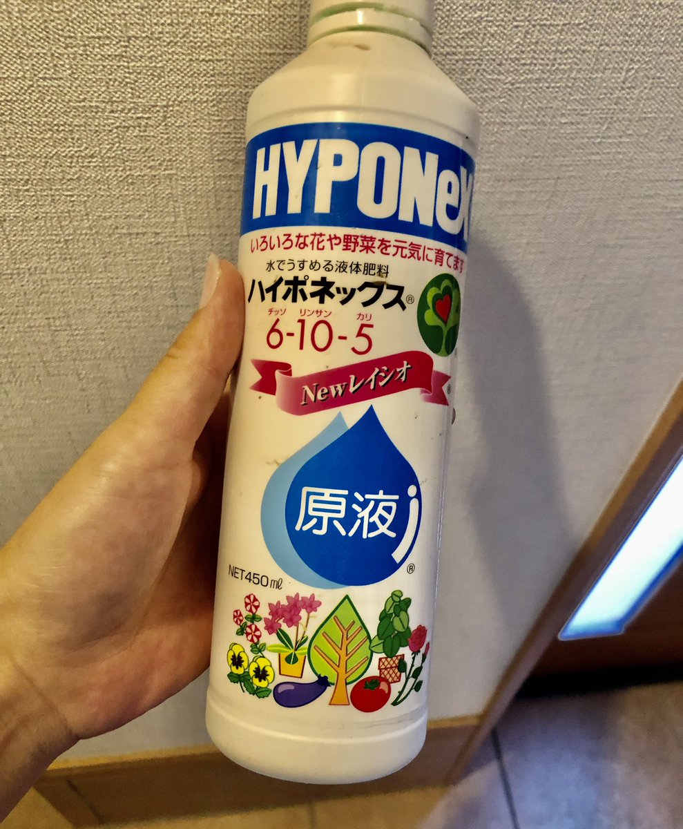 やまなつ على تويتر 春に１回だけ腰水でハイポネックスやった時は大丈夫でした でもその時は観葉植物1000の規定であげちゃって みんな00倍とかみたいですね ダイソーの注射器 いい プリンカップ使ってちょろりやってたけど 小苗とか逆にミチミチデカ苗には