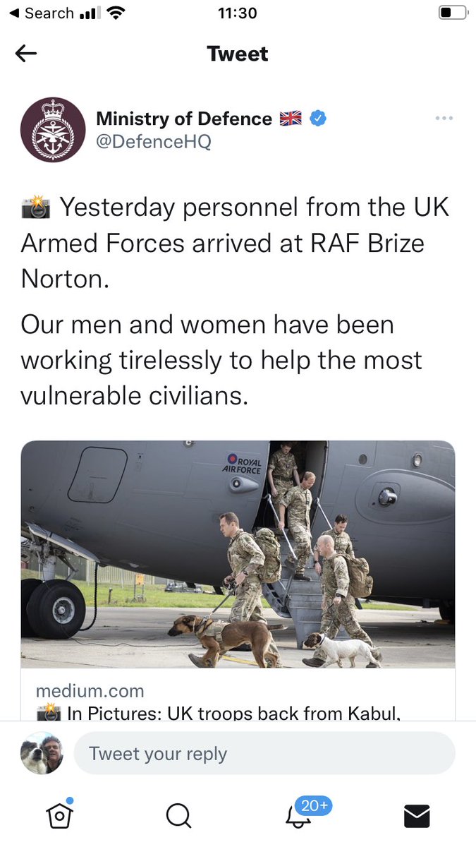 Good to see military dogs coming back to Brize Norton shame defence Secretary seems so upset we brought Nowzad dogs out on private charter aircraft #operationark
