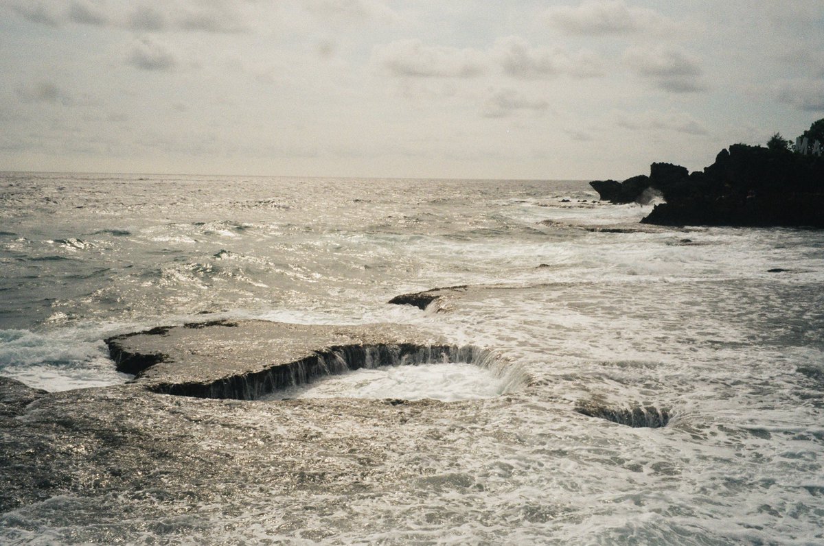 steffi nicole tweet media