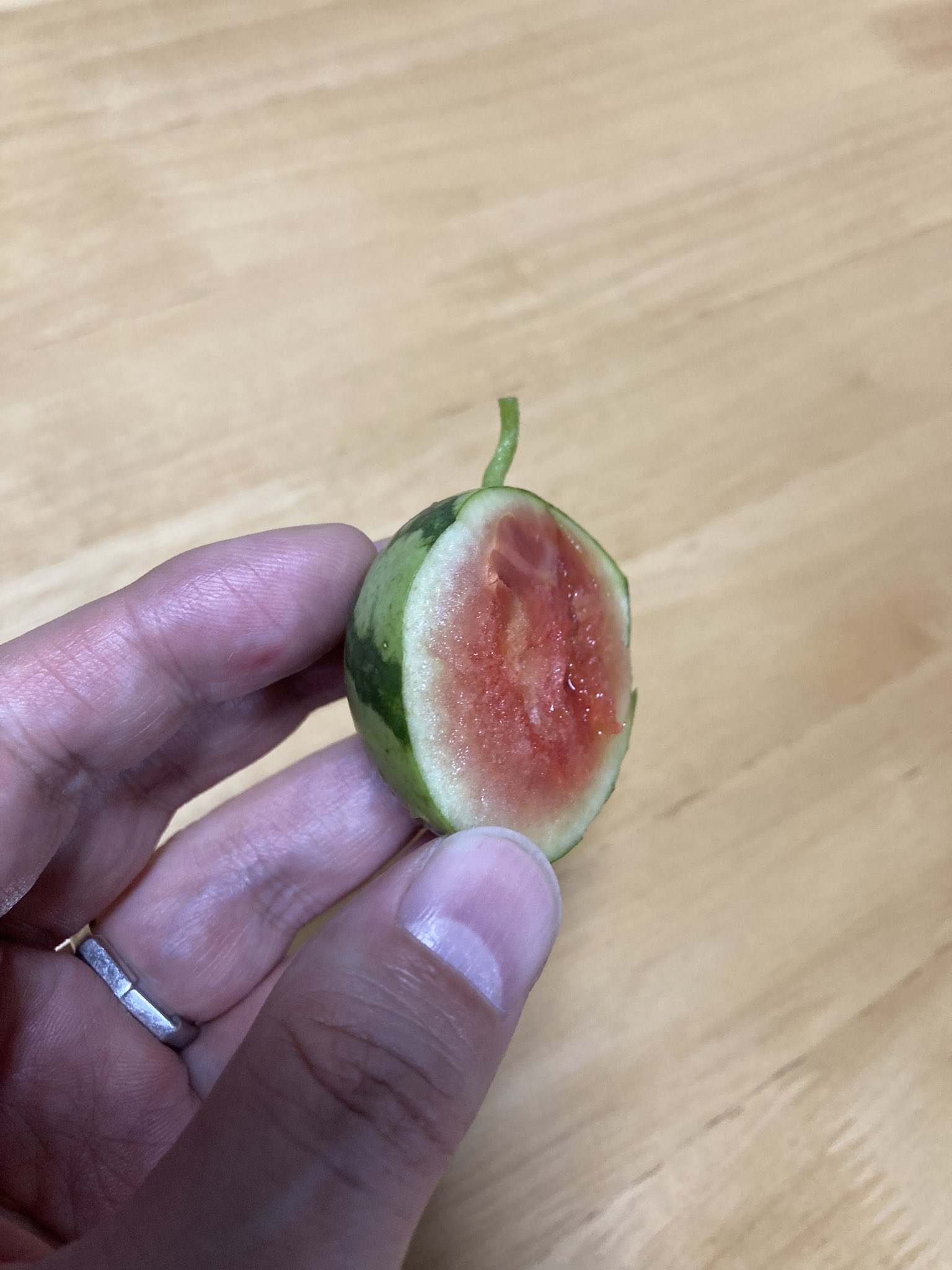 サンノジ Sannoji 食べたスイカの種を発芽させて ここまで来たけど 身が割れてしまったので収穫 直径は5センチ弱 味はしっかり甘くて美味しかった そして種までちゃんとあることに感動 また 来年やってみよう T Co Kgmtvfewez