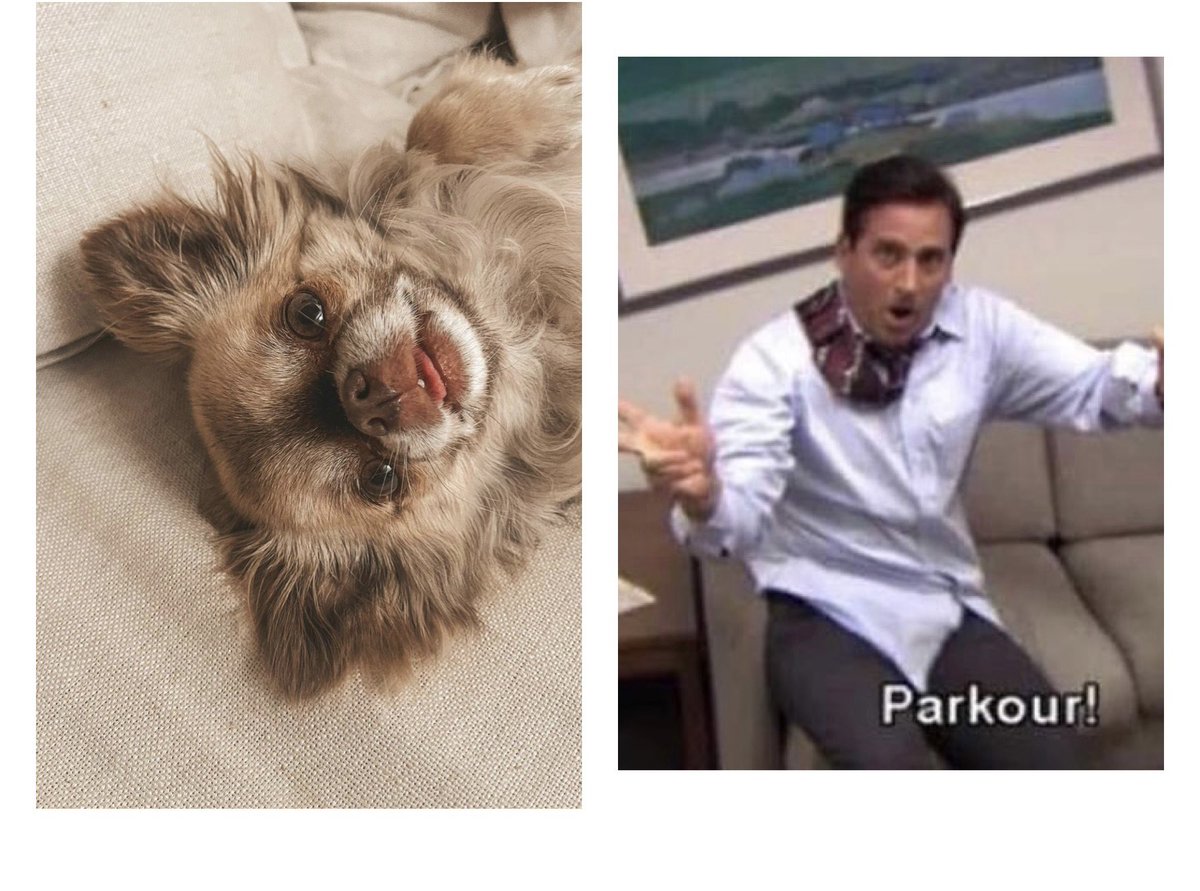 Giulia Valentina          Giulia Valentina
a Milano                       durante le
                                      ferrate