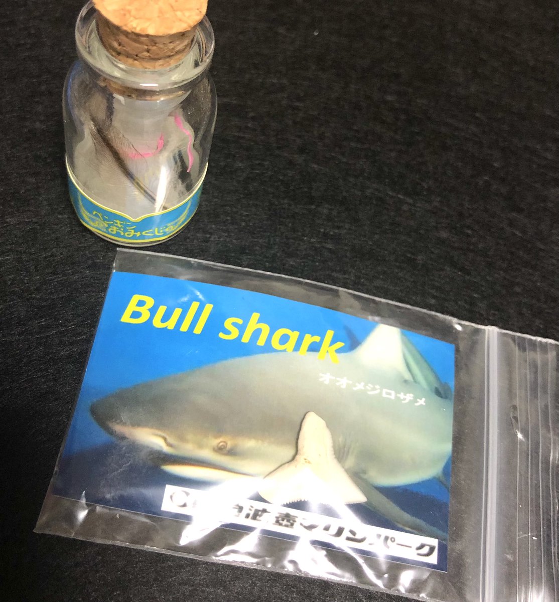 Egps サメ描く奴 V Twitter 油壺マリンパーク のペンギンの羽おみくじガチャとサメの歯ガチャを組み合わせて 油壺メモリアルハーバリウムの完成