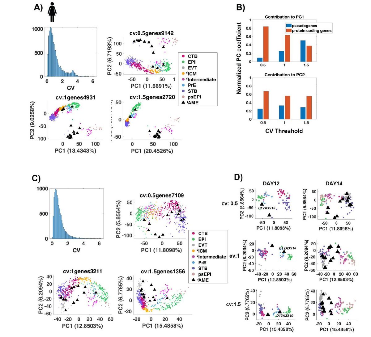 AMartinezArias's tweet photo. As single cell data accumulates we don’t want new methods to analyze them but the kind of Biology driven scrutiny within sight in this excellent study from @WarmflashLab on Trophectoderm v amnion in 2D-#gastruloids v #Embryos https://t.co/5irSONFAgn
#MoreOfThis #BiologyFirst https://t.co/DV4ChTXtLQ