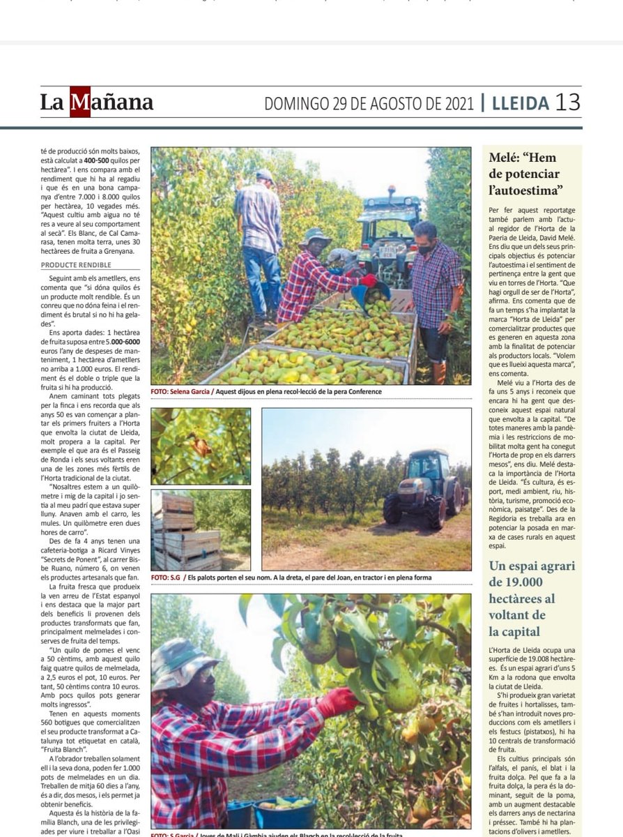 'L'oasi de la ciutat de Lleida' 😀 Moltes gràcies a <a href="/LaManyanacat/">La Mañana</a> per parlar de #FruitaBlanch. #SomDelOest #Lleida