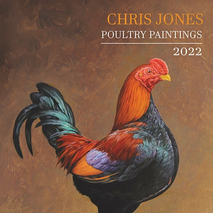 Chris Jones Poultry & Wildlife Artist on Twitter "Currently in