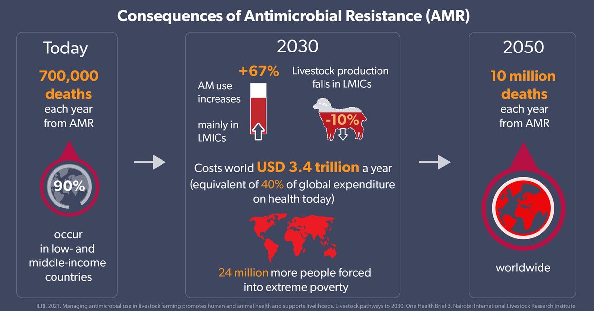 Scientists from @ILRI @Cirad @ird_fr @INRAE_Intl advocate for policies that consider specific farmer needs, including improved #access to #veterinarydrugs, and improved regulation of their use in #LMICs 
Read more here: amr.cgiar.org/blog/antimicro…