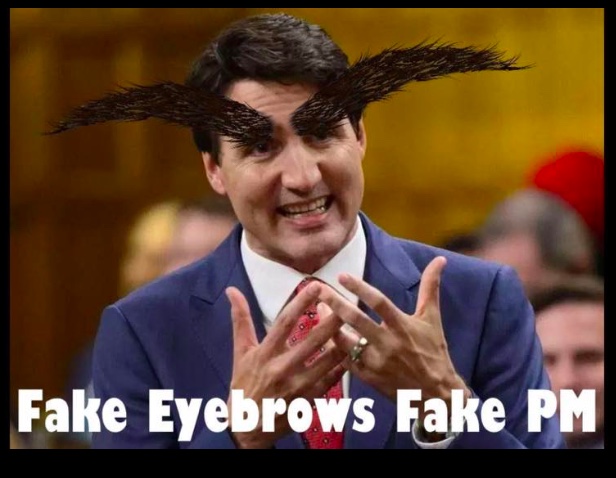 L_Geekhome's tweet photo. @MrStache9 #Elxn44
Like most, I remember where I was the day Trudeau's
#FakeEyebrows were trending on twitter. https://t.co/hNwv8UxLaK