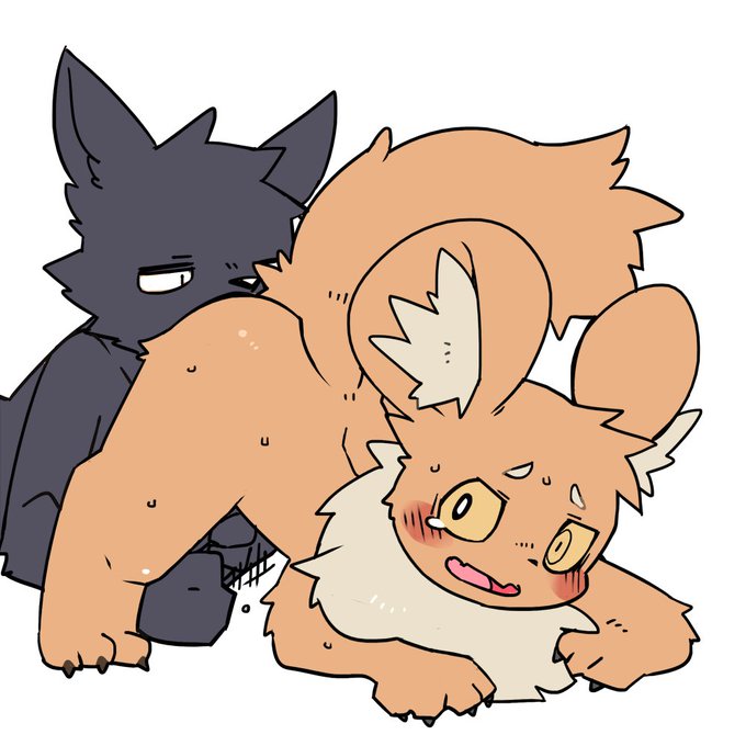 お誕生日おめでとうございます 