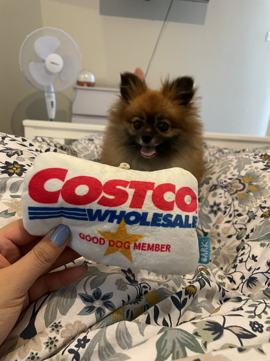 Does this mean we can now bring our dogs to Costco? 😂🤔