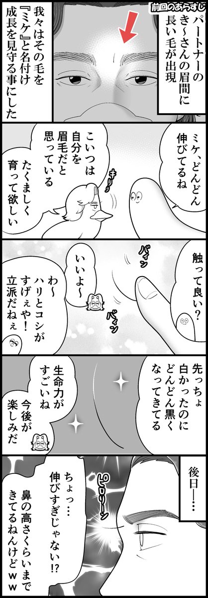 ミケの消失(計4枚です) 