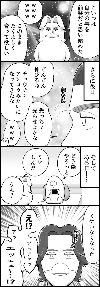 ミケの消失(計4枚です) 