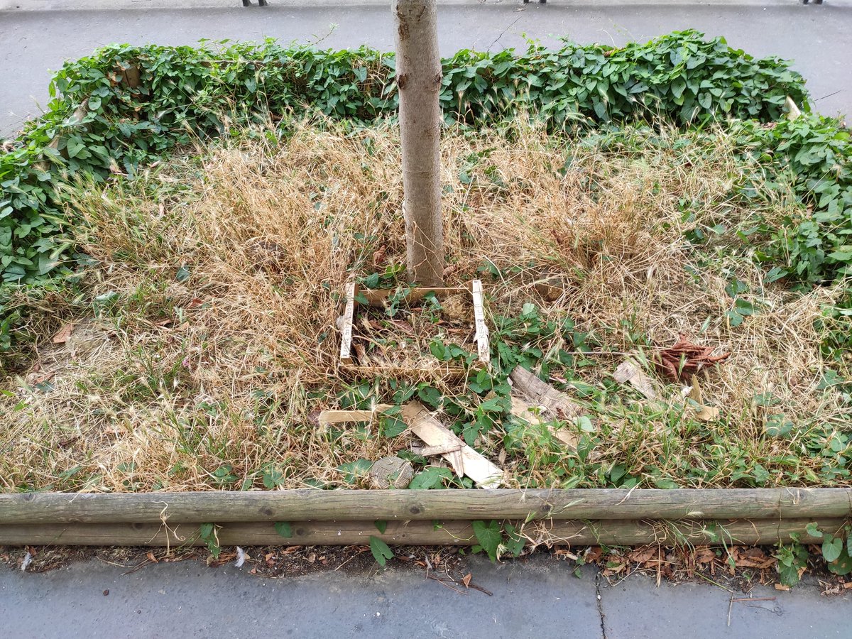 ThoRennes's tweet photo. #Censier, à deux pas du #JardinDesPlantes (quant à lui magnifique, propre, très bien tenu et entretenu) :
"Je végétalise Paris, je reste ici". Rien que ça ! https://t.co/xsjrfFwvyC
