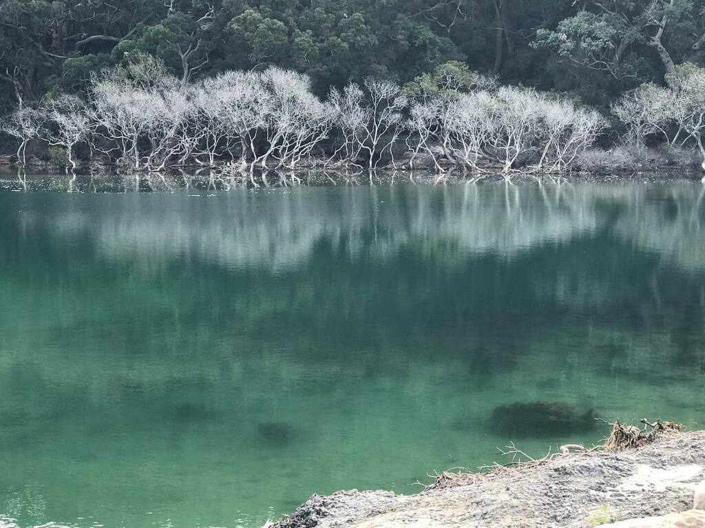writingquietly's tweet photo. #augustbreak2021 I believe…
…taking lots of photos to get just the right one is worth it!
I was so sure I didn’t capture the colour and scene as I saw it today. But there it is. Sublime.
.
.
.
#quietwriting #landscapes #landscapephotography #lands… https://t.co/IbIiTijD9D https://t.co/27R7bludDF