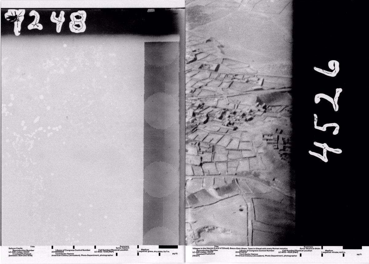 _- laura - _ tweet media