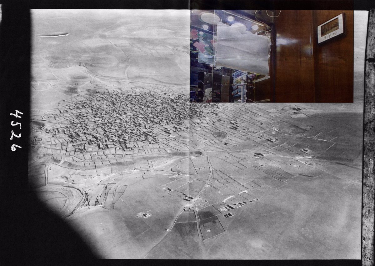 _- laura - _ tweet media