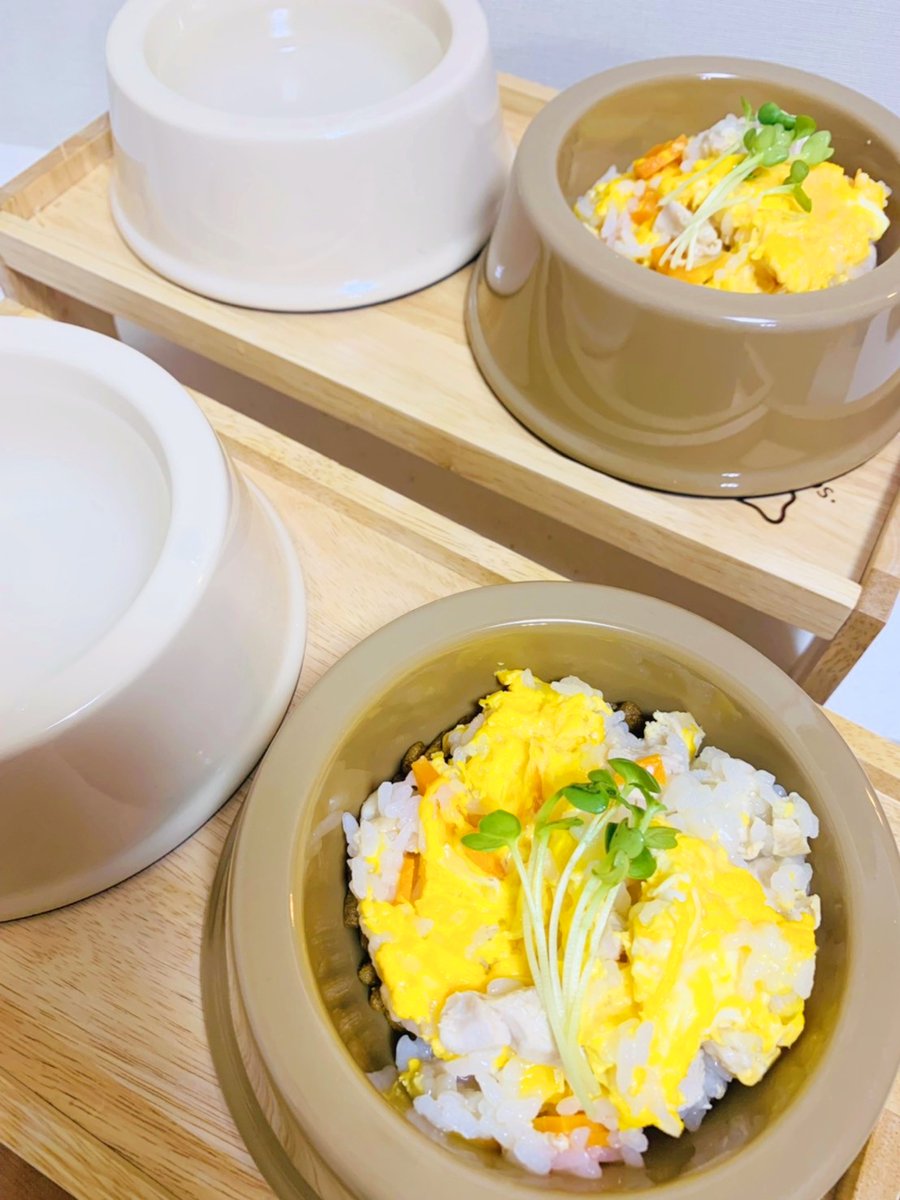 Top Tweets For 手作りフード Instalker Top Tweets For 手作りフード Instalker