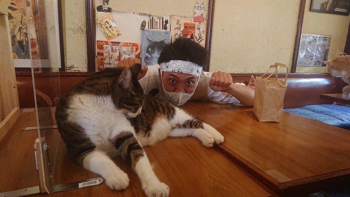 Cat_Bar_Akanasu tweet picture