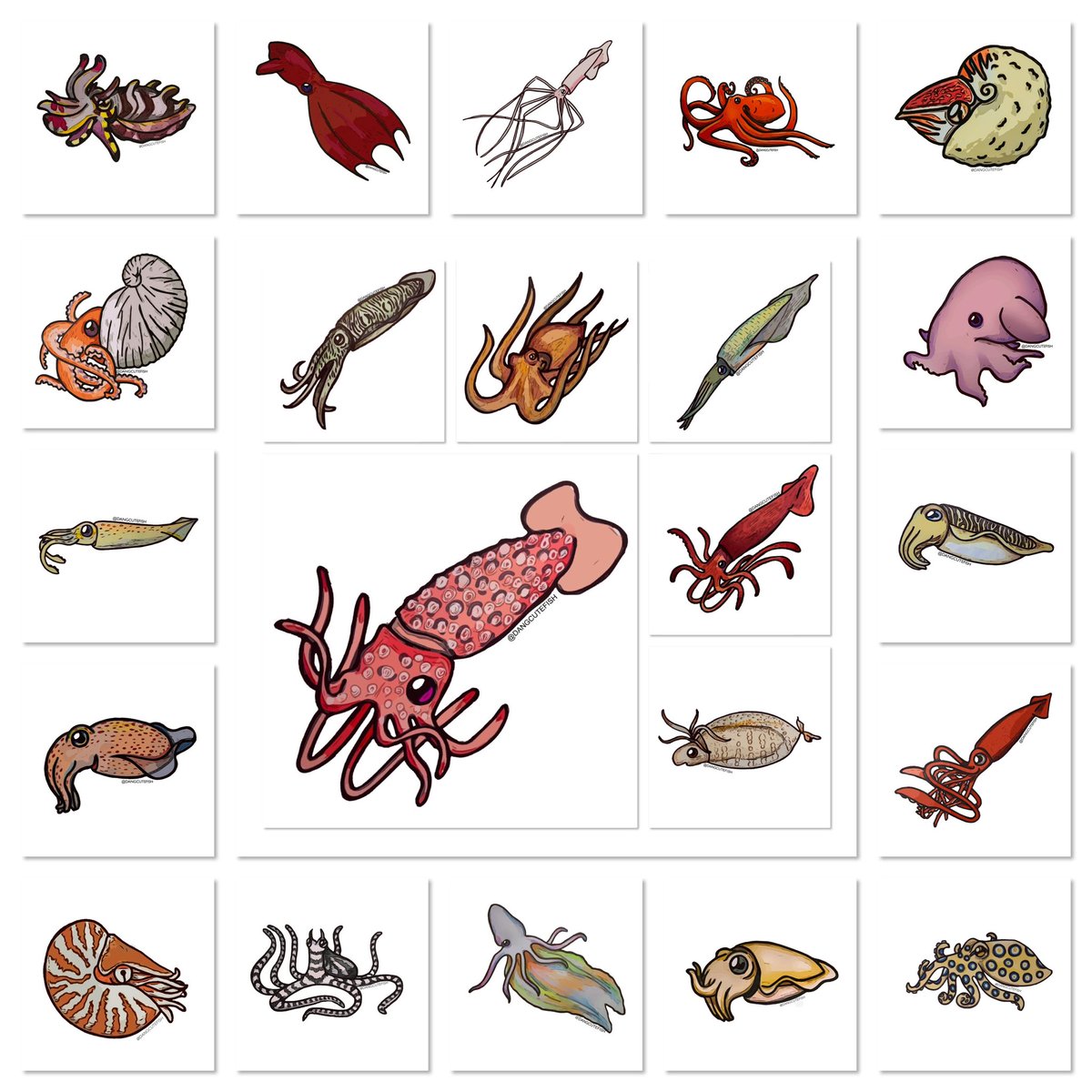 dangcutefish tweet media