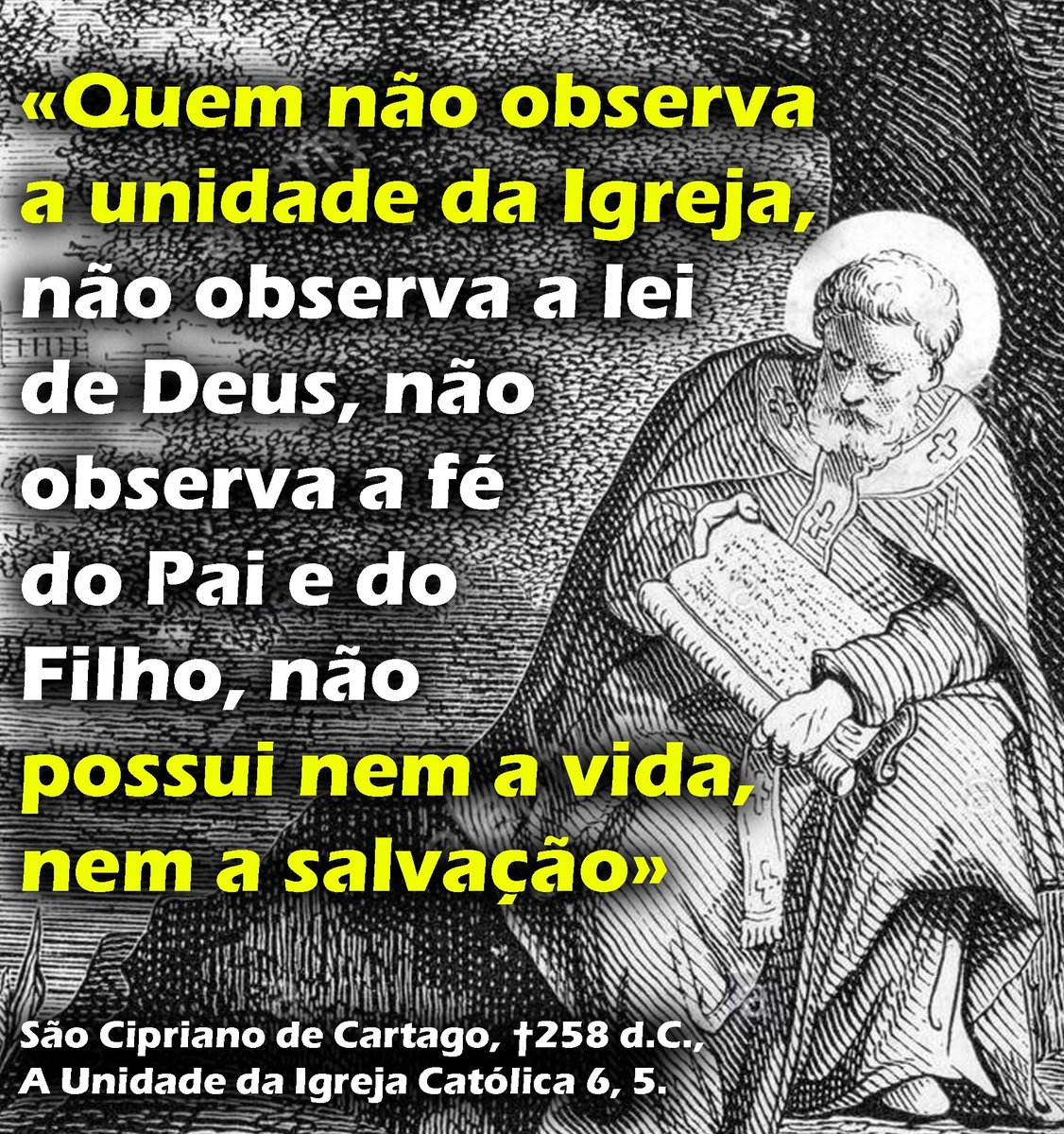 sociconofficial's tweet photo. São Cipriano de Cartago, †258 d.C., A Unidade da Igreja Católica.

Para ler na íntegra, acesse:
https://t.co/0eBs1FlzEj

Lns https://t.co/aUiXsm3H6O
