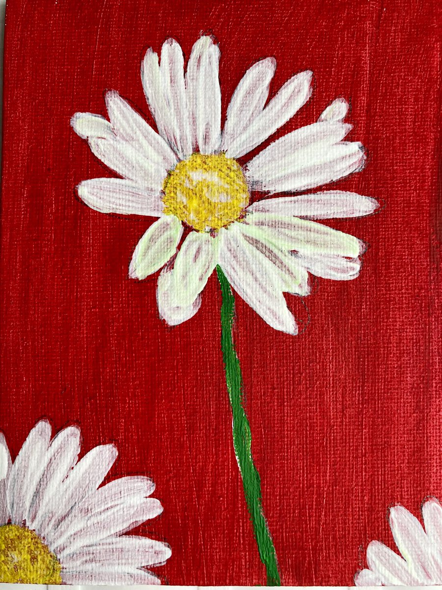 RuthBreen10's tweet photo. #Daisies on a #red background #painting #acrylicpainting #white #colour #colourful #pretty #lovely #Flowers #floral #flower #inspird #impressionism #naturelovers #art #artwork #Amazing #artist #Artisan #handmade @SSA_1933 https://t.co/bhjoZLs7Mn