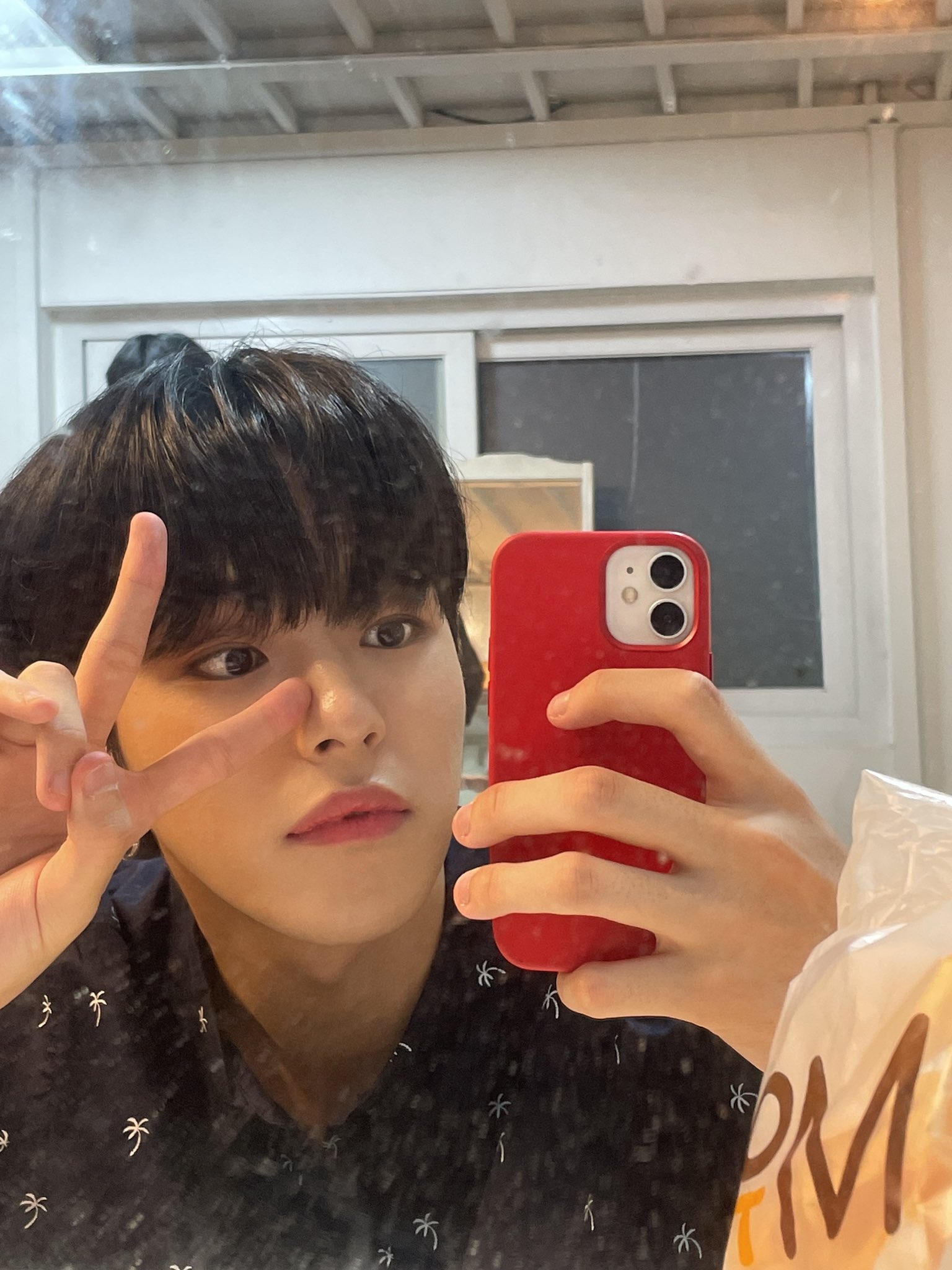 treasure ジェヒョク funny Amazon.co.jp: FUNNY TREASURE ジェヒョク GGAERU ぬいぐるみ