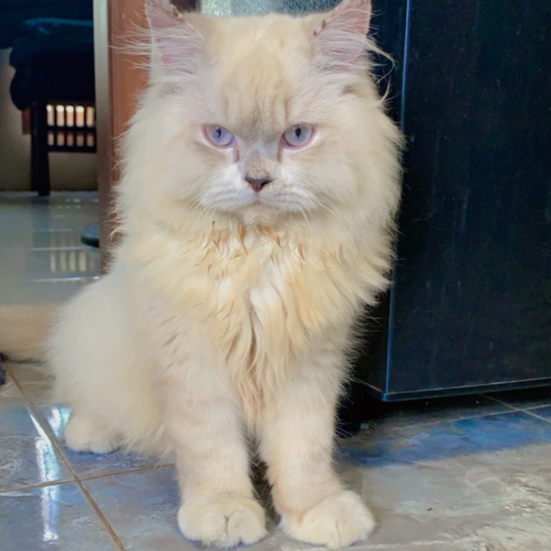 majikan tersayang❤️