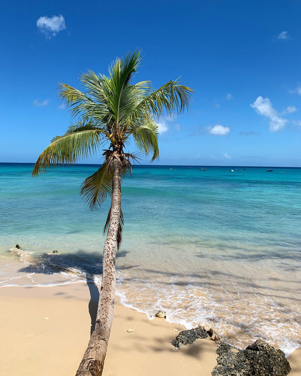 Barbados's tweet photo. The best type of Monday blues! What's the best way to start your day when you're in Barbados? #VisitBarbados #LoveBarbados

📸: moorekhadija

📍 Mount Standfast, St. James https://t.co/AxWhpoc0tD