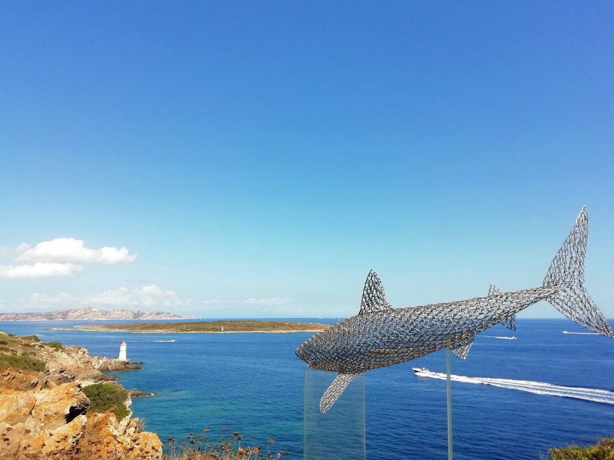 LaGhisaura's tweet photo. Arte con vista.
Le squalo Mako di Vincent Mock, realizzato interamente con ami da pesca.
#CapoFerro https://t.co/TB5TLkKtB2