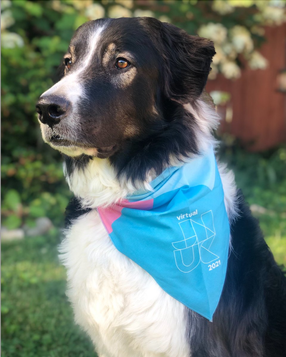 JamfSoftware's tweet photo. Team Dog 🐶 or Team Cat🐱?
Either way, our JNUC pet bandanas will fit both of your furry friends!

Get registered for Virtual JNUC 2021 today: https://t.co/jC6KE9rqHT

#VJNUC21 #JamfNation #JamfHeroes #Apple #OneJamf https://t.co/udW7dQiYzU