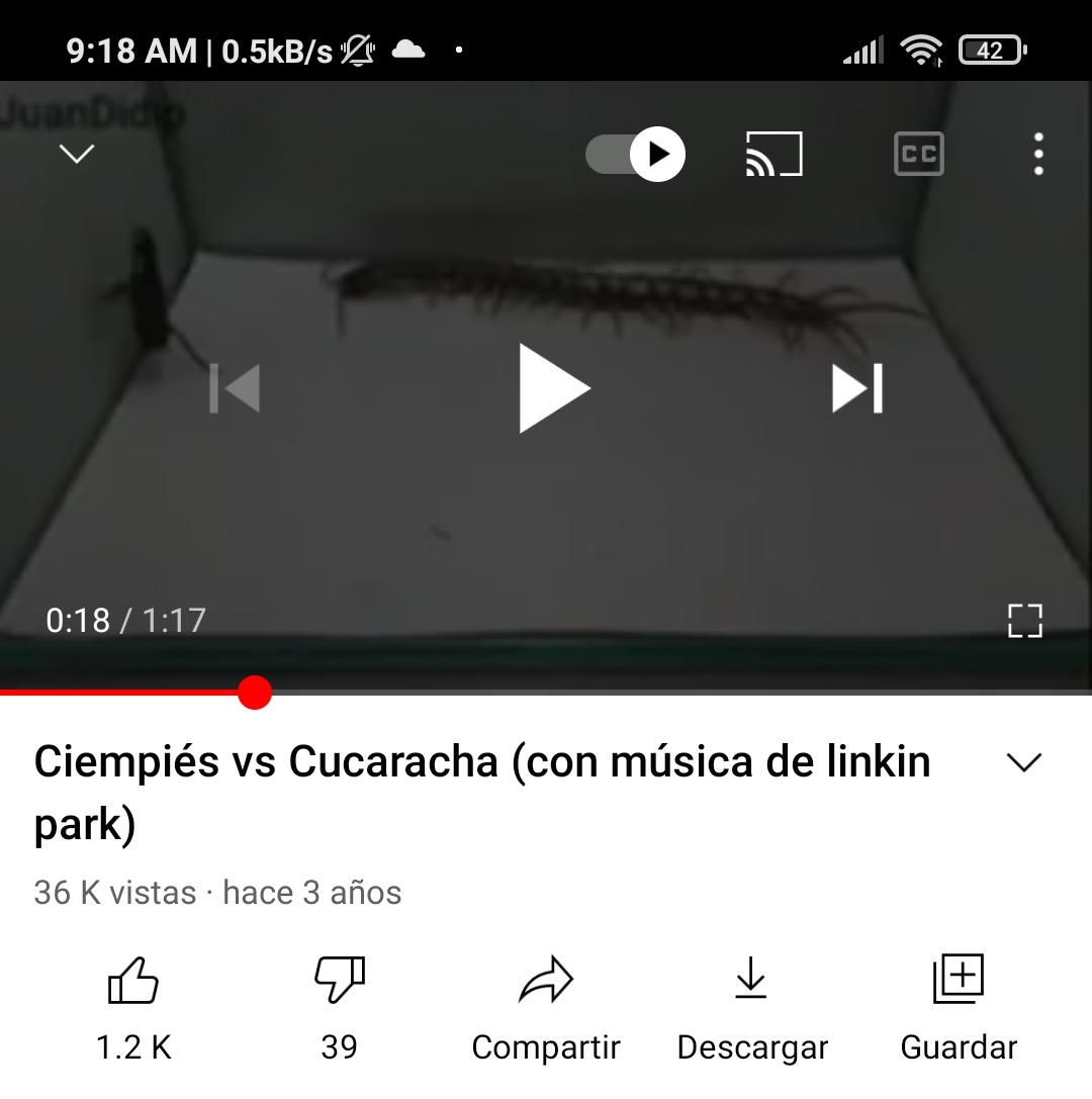 Me: me levanto temprano y me preparo el desayuno para empezar a estudiar 

Also me: tomo mates mientras miro